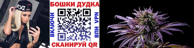 наркотики  Рубцовск  Канабис конопля 